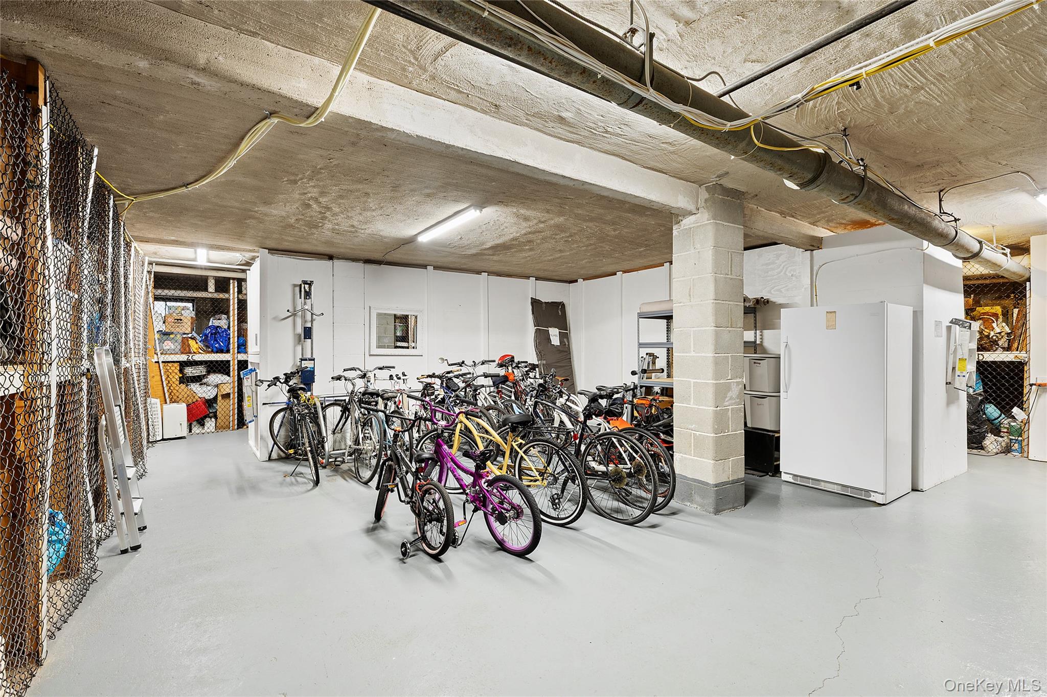 21 Chapel Place, Unit 3M Great Neck, NY 11021 - Photo 12 of 21 Garage featuring freestanding refrigerator