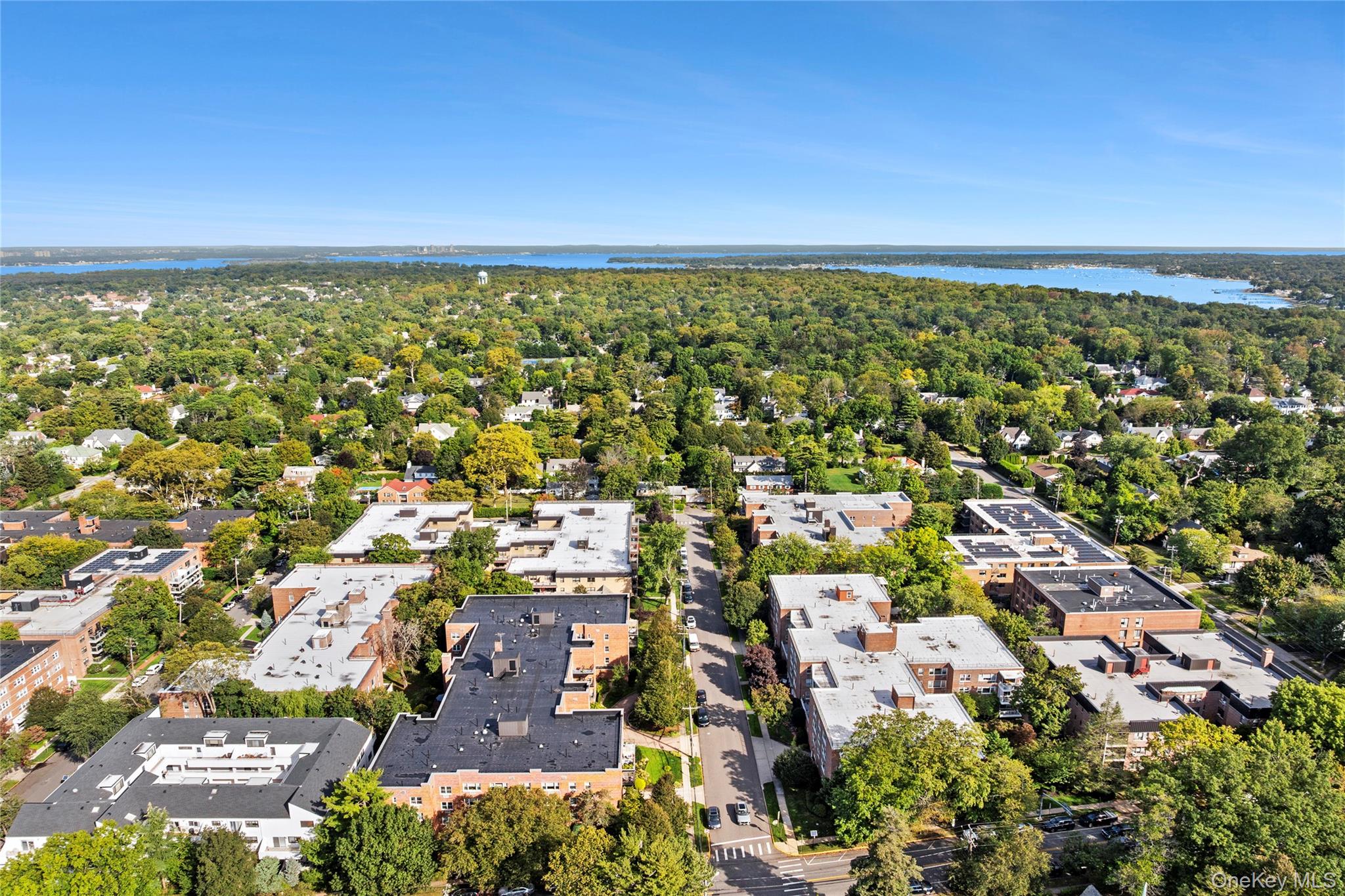 21 Chapel Place, Unit 3M Great Neck, NY 11021 - Photo 16 of 21 Aerial overview of property's location with a large body of water
