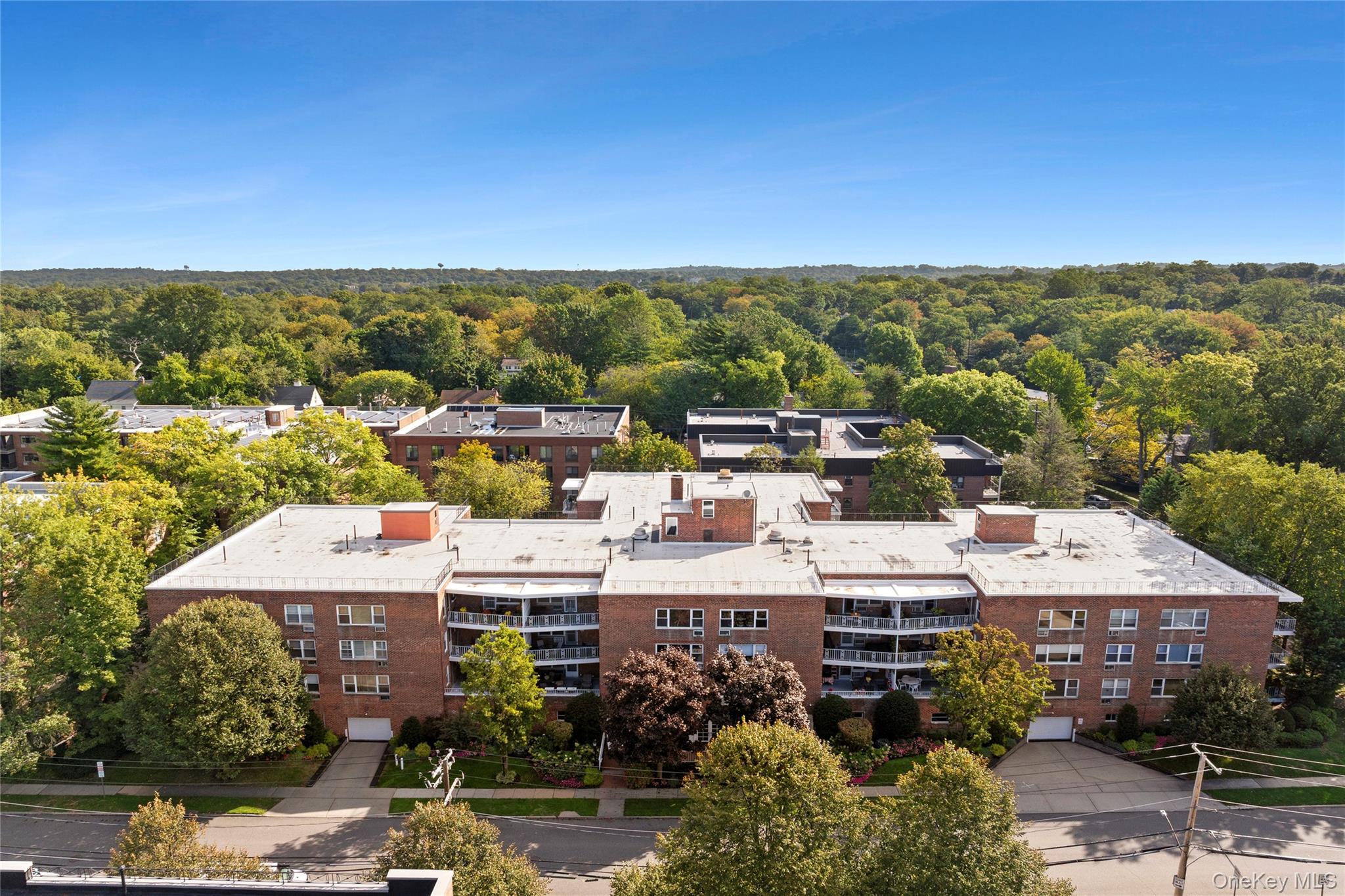 21 Chapel Place, Unit 3M Great Neck, NY 11021 - Photo 19 of 21 Bird's eye view of a forest