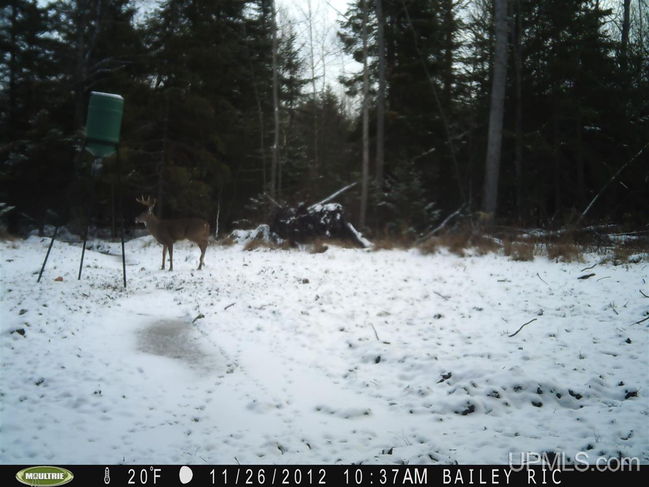 5902 Co Rd 511 Rapid River, MI 49878 - Photo 21 of 21