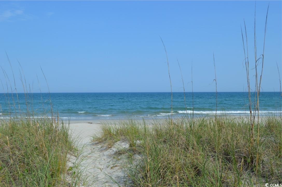 151 Hallandale Lane, Unit LEFT Murrells Inlet, SC 29576 - Photo 20 of 21