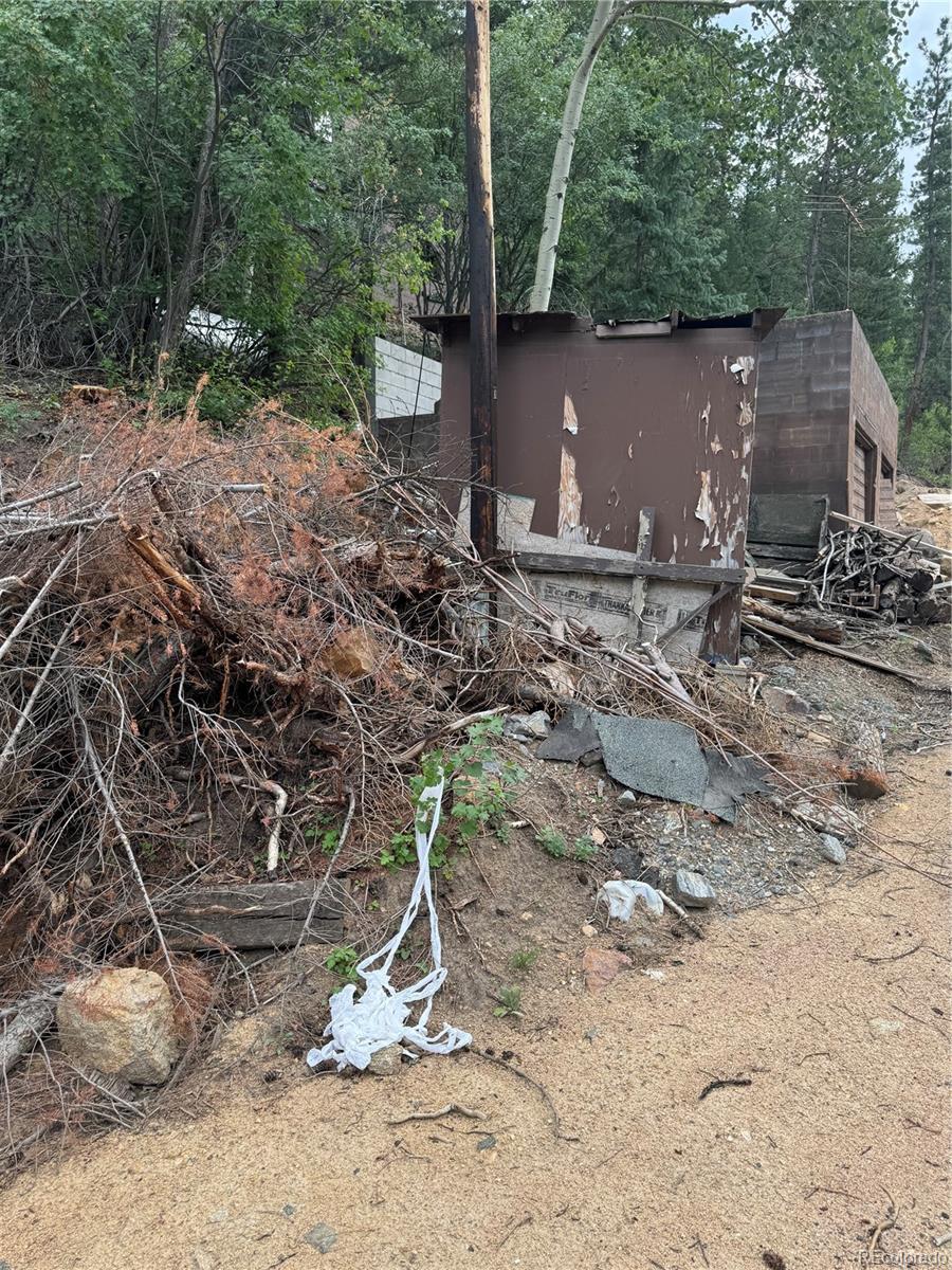 10762 Twin Spruce Road Golden, CO 80403 - Photo 3 of 10