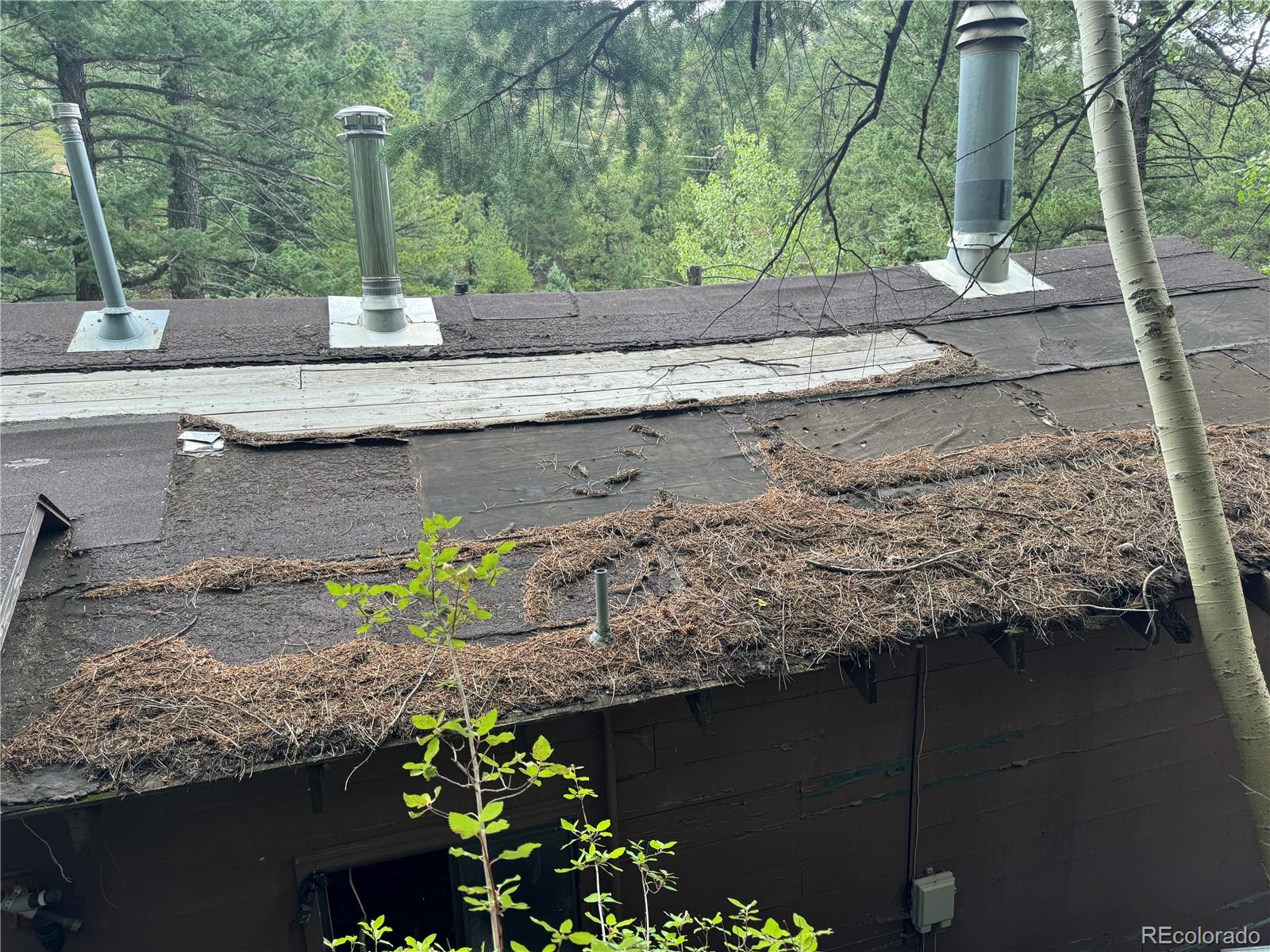 10762 Twin Spruce Road Golden, CO 80403 - Photo 5 of 10