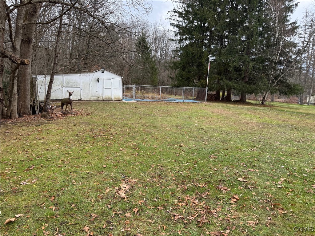6086 Cavanaugh Road Marcy, NY 13403 - Photo 16 of 17 Backyard ivew