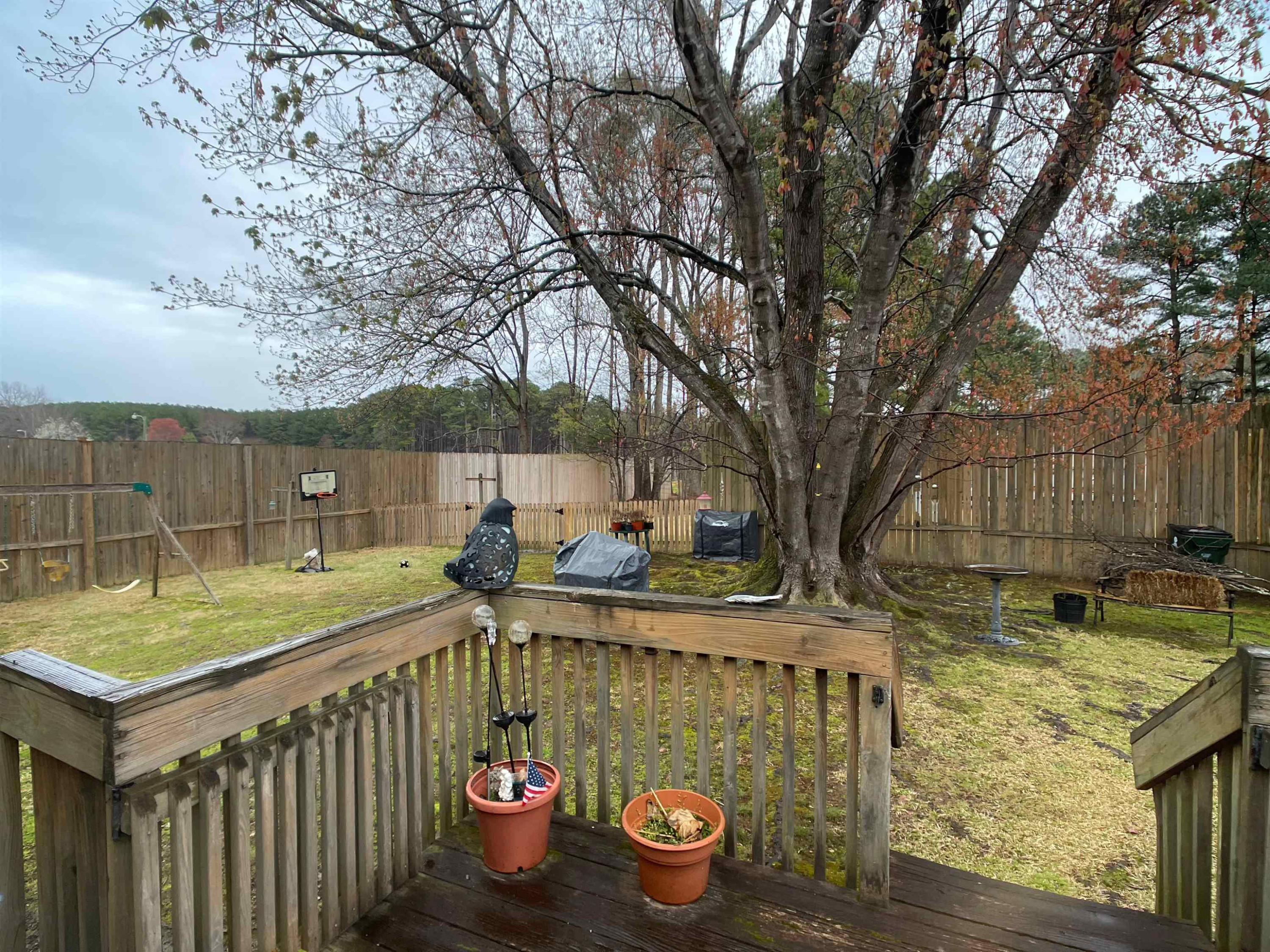 8101 Rhodes Road Apex, NC 27539 - Photo 10 of 21 Photo 10
