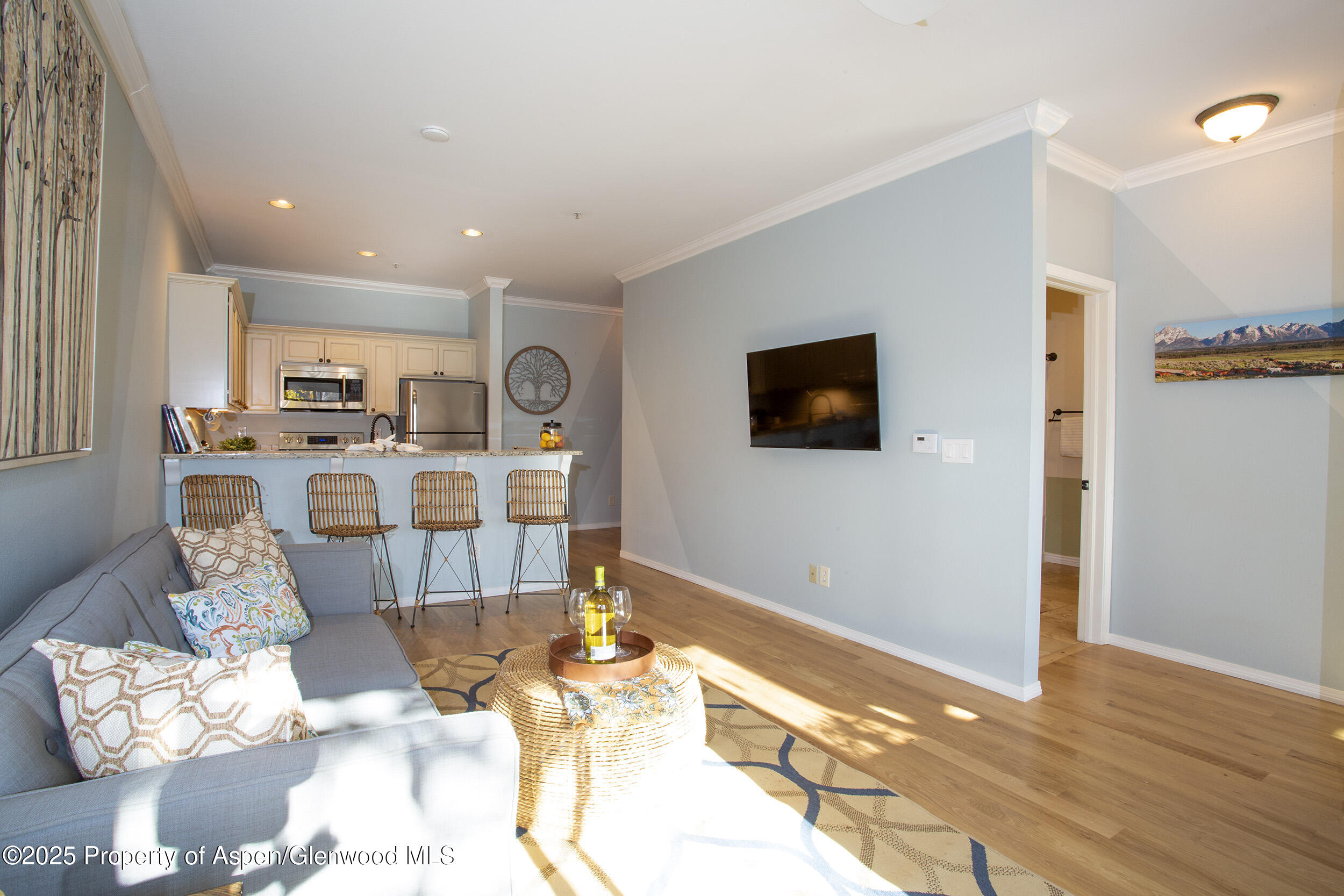 1400 East Valley Road, Unit 212 Basalt, CO 81621 - Photo 13 of 15 a living room with stainless steel appliances furniture a fireplace and a flat screen tv