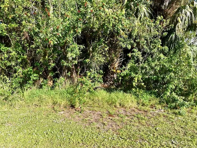 $25,000 | Xxx North 45th Street, Fort Pierce, FL 34946