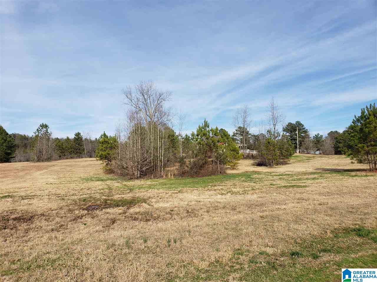 1430 Dripping Rock Road Piedmont, AL 36272 - Photo 29 of 41