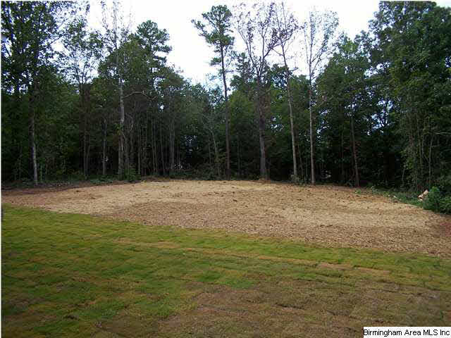 5869 McAshan Ridge Road McCalla, AL 35111 - Photo 6 of 32