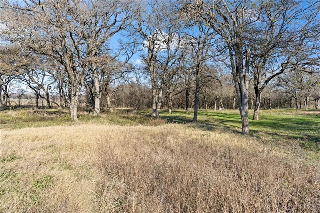 1430 Bays Road Axtell, TX 76624 - Photo 8 of 20 a view of dirt field with trees