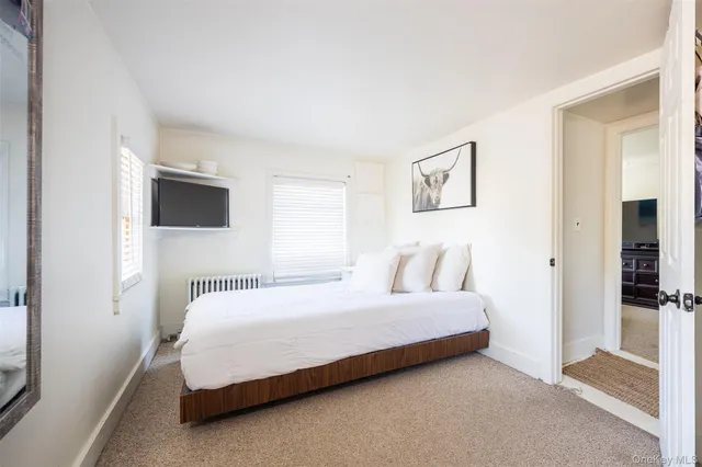 a bedroom with a bed and a television