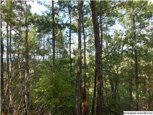 Meherg Road, Unit 28 Rockford, AL 35136 - Photo 20 of 25