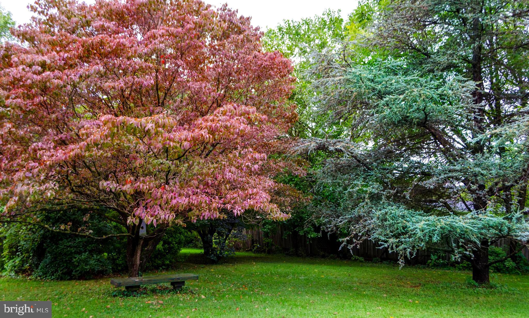 4264 Delta Road Airville, PA 17302 - Photo 11 of 44