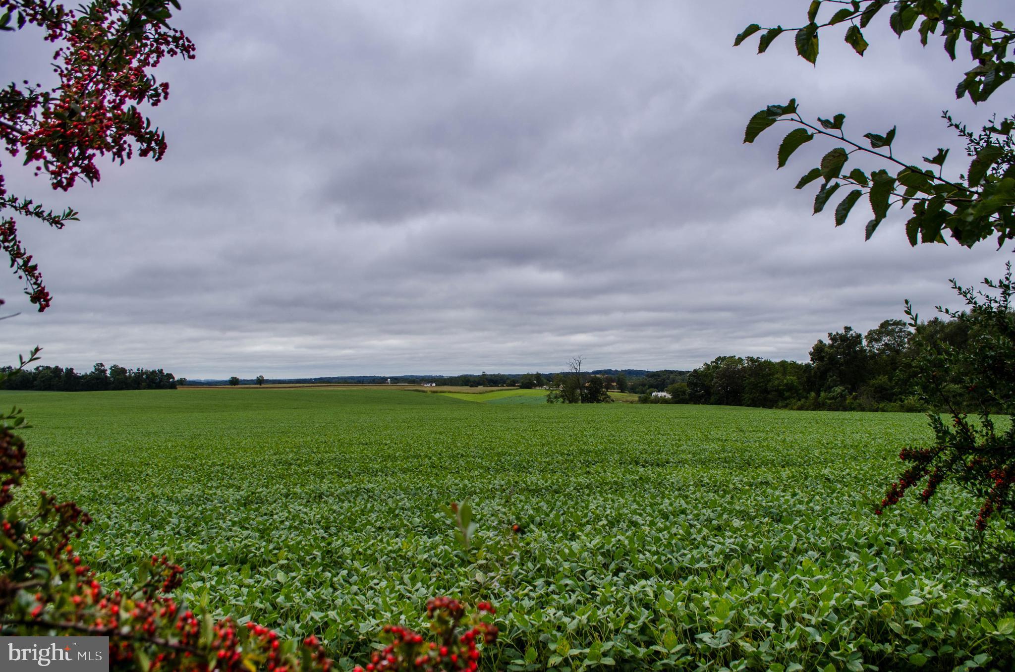 4264 Delta Road Airville, PA 17302 - Photo 13 of 44