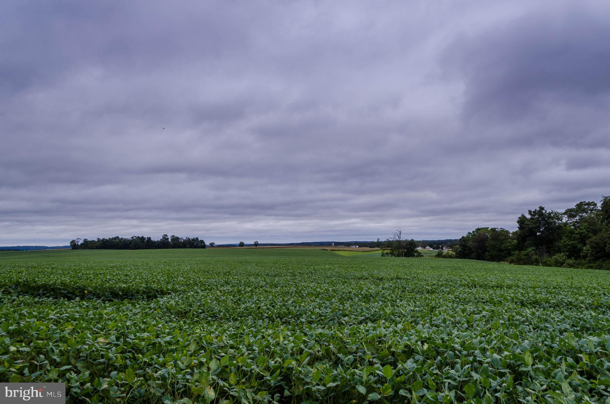 4264 Delta Road Airville, PA 17302 - Photo 17 of 44