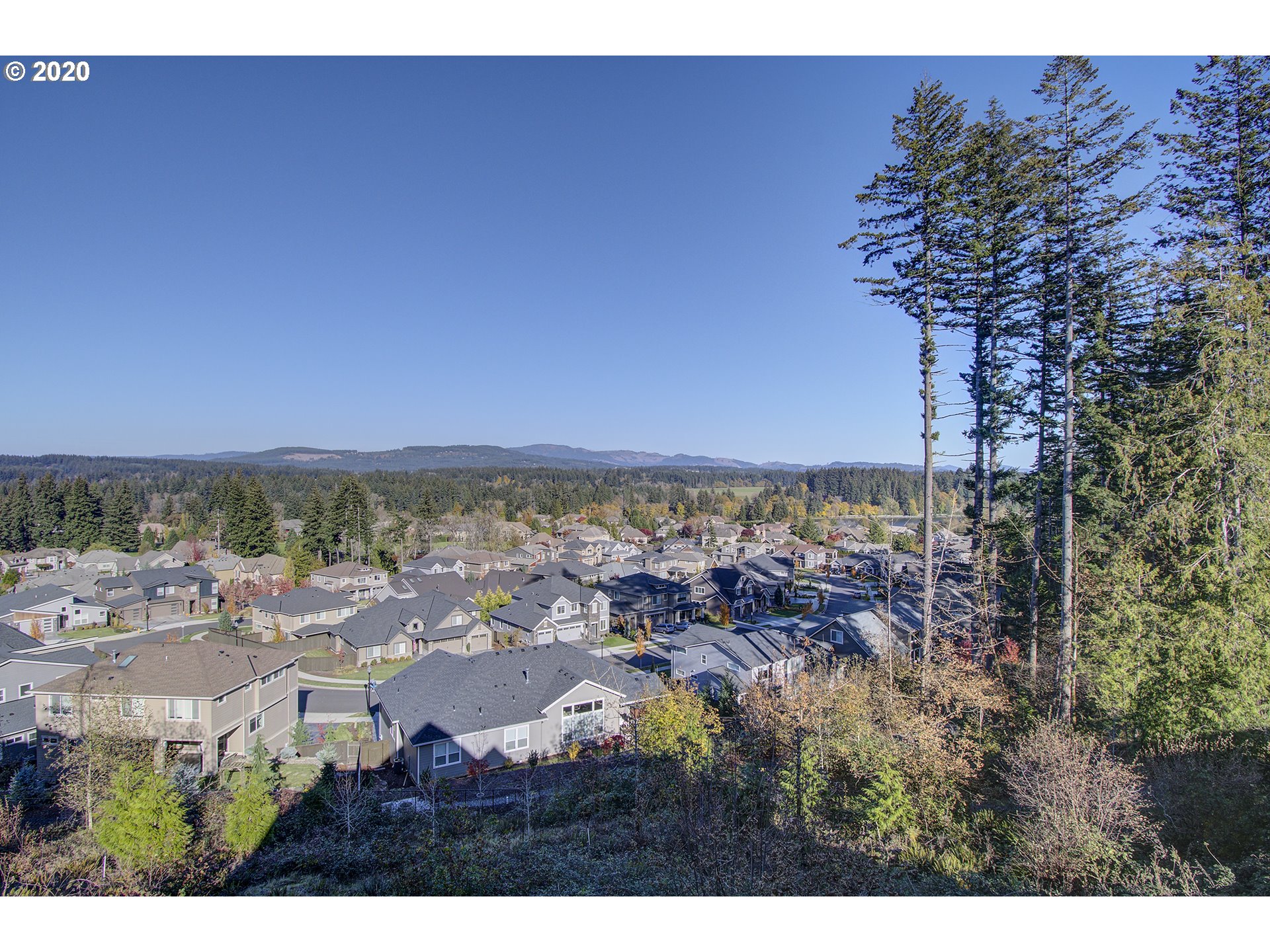 3221 Northwest Lake Place Camas, WA 98607 - Photo 28 of 32 a view of a city