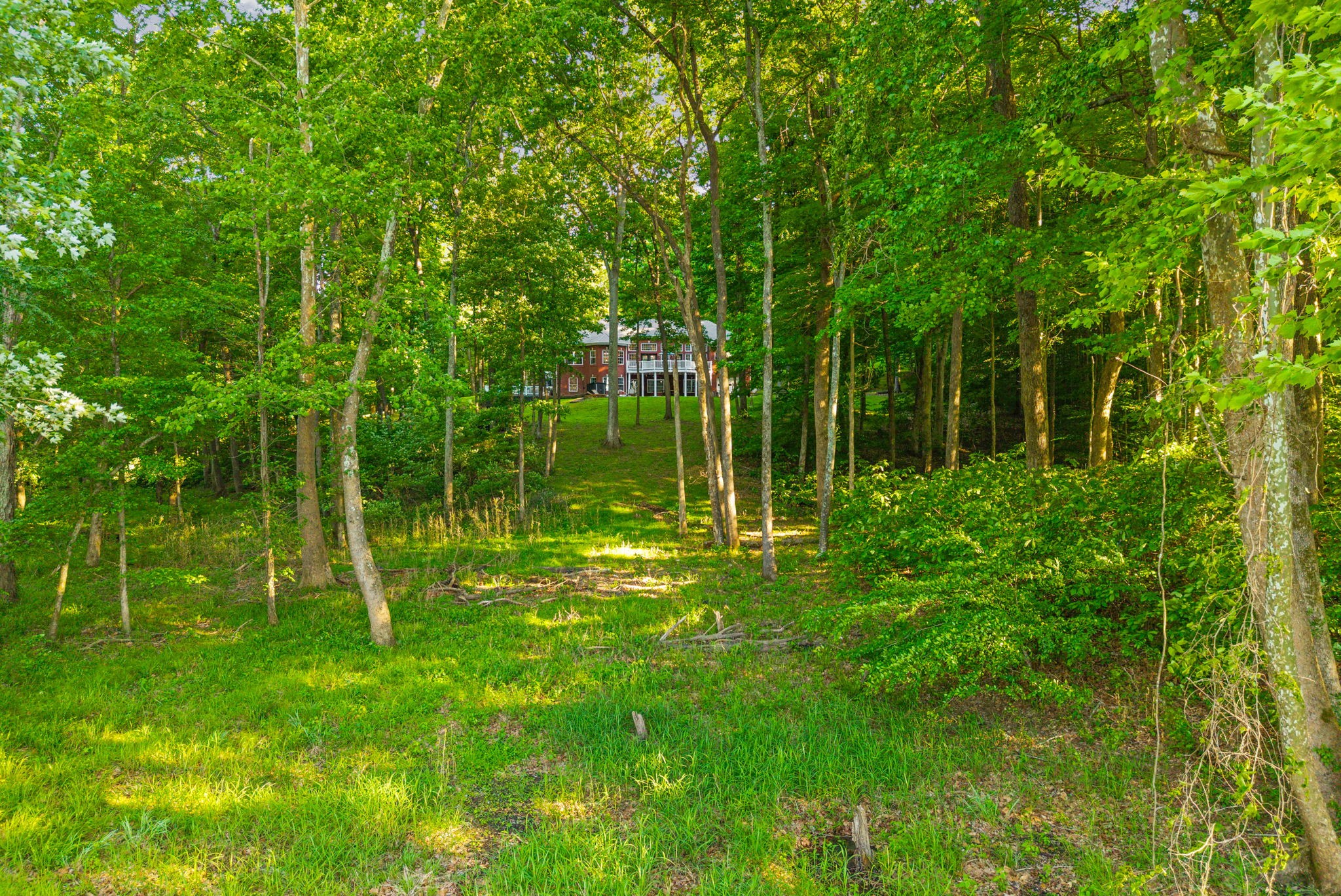 118 Periwinkle Hill Road Cadiz, KY 42211 - Photo 70 of 72