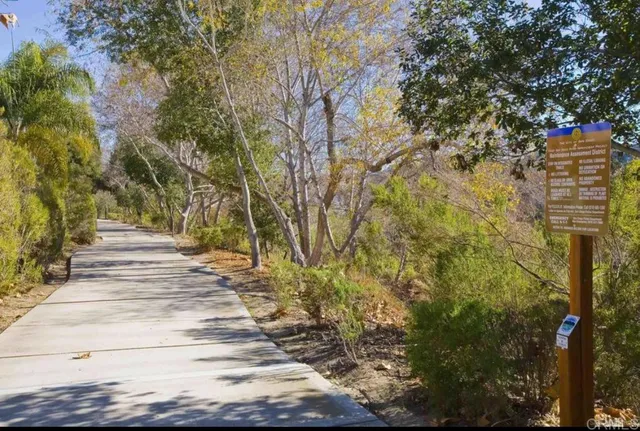 a view of pathway along with trees