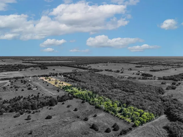 a view of a dry yard