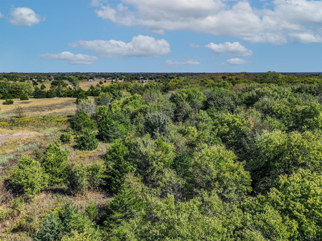 2481 County Road 2130 Cooper, TX 75432 - Photo 13 of 20 view of a yard with an outdoor space