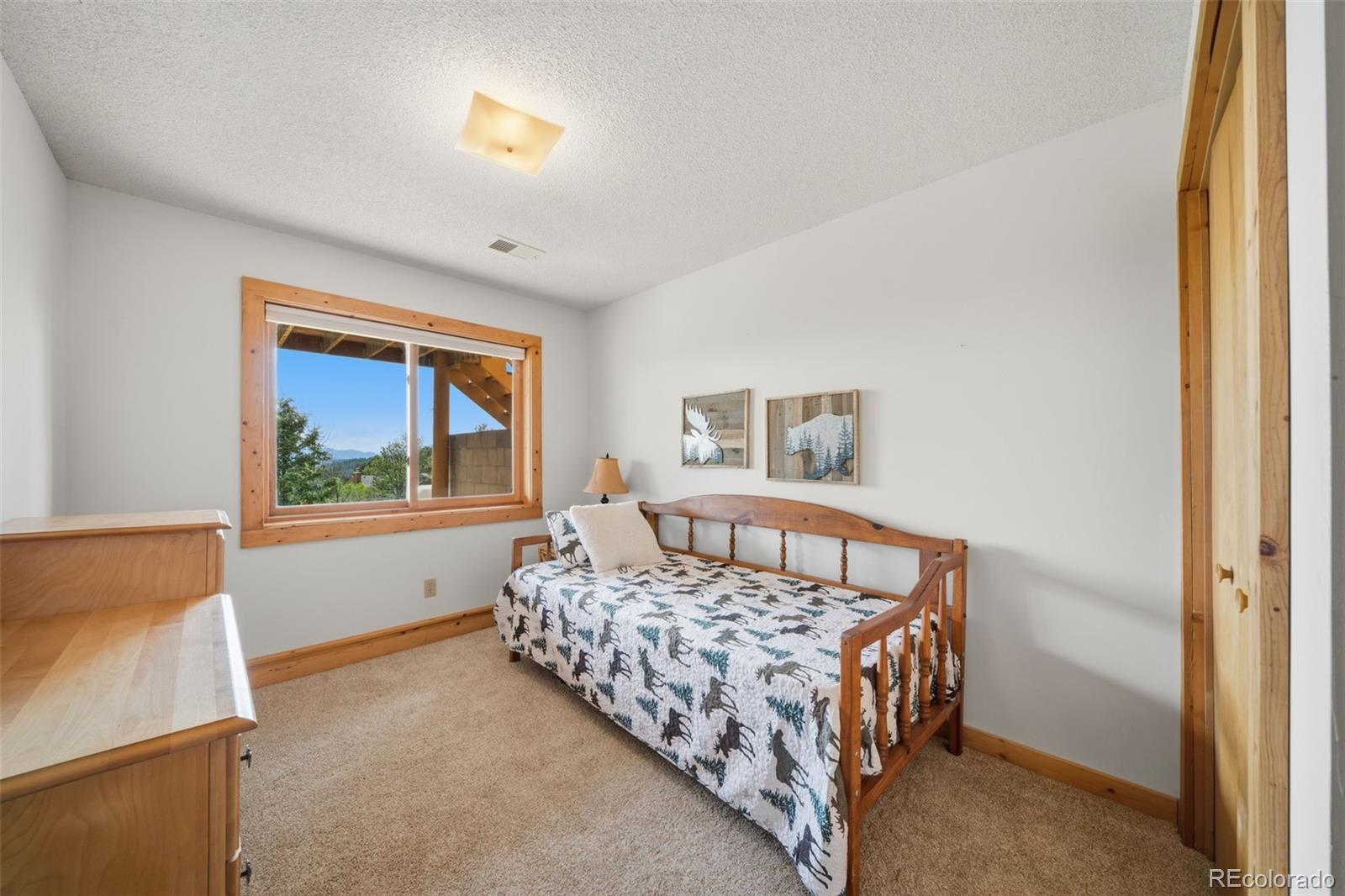 4269 Cedar Mountain Road Divide, CO 80814 - Photo 18 of 37