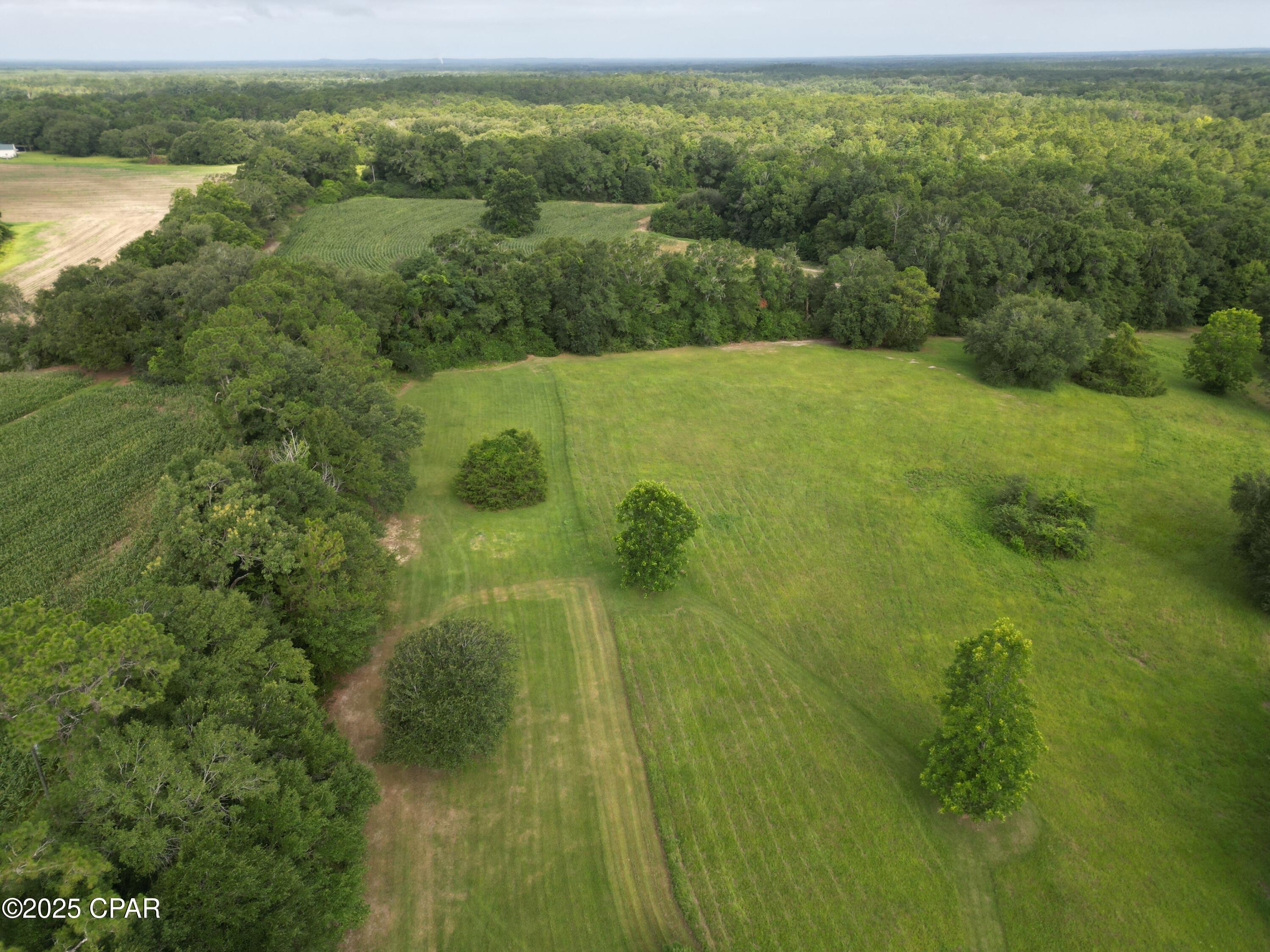 2038 Caney Branch Road Bonifay, FL 32425 - Photo 6 of 38 Gallery Image 6