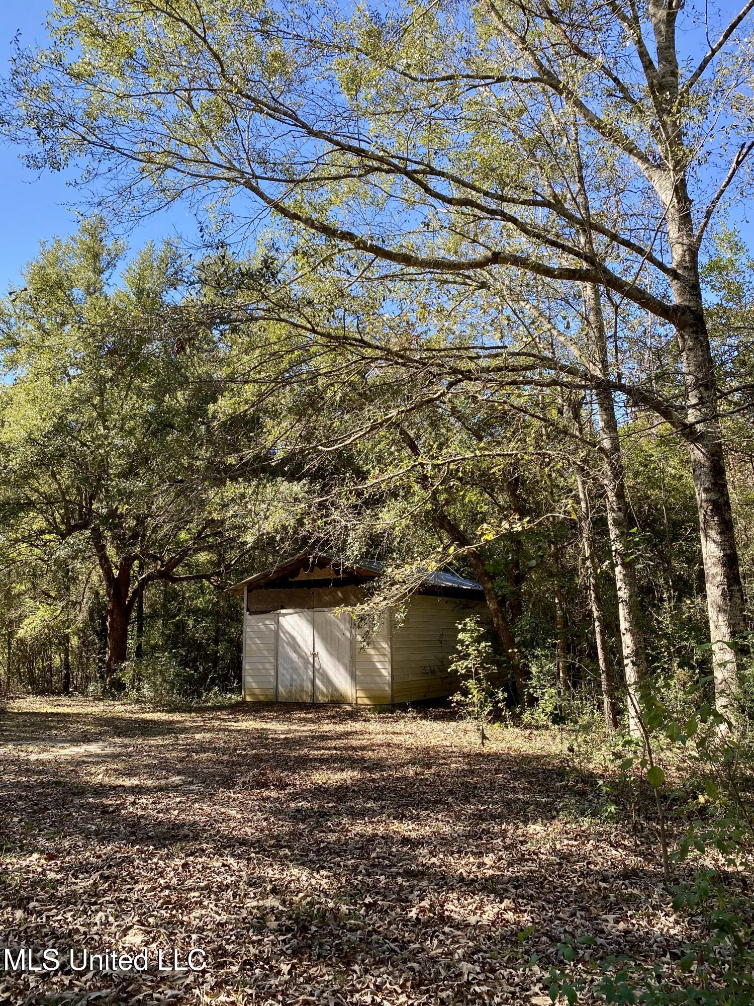 131 Monk Mitchell Road Picayune, MS 39466 - Photo 35 of 39 35, IMG_6807