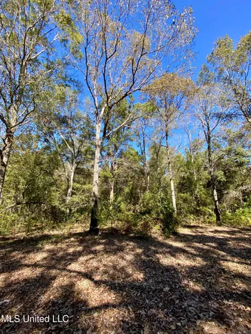 $336,000 | 131 Monk Mitchell Road, Picayune, MS 39466