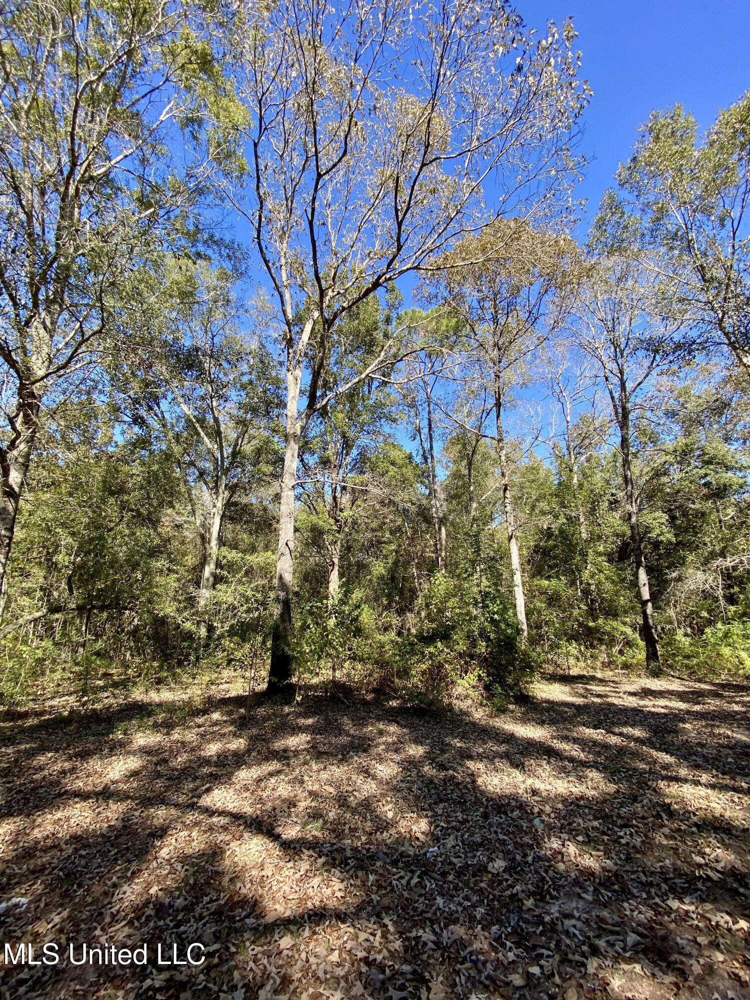 131 Monk Mitchell Road Picayune, MS 39466 - Photo 36 of 39 36, IMG_6808