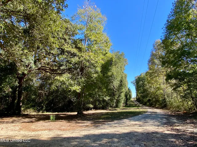 $336,000 | 131 Monk Mitchell Road, Picayune, MS 39466