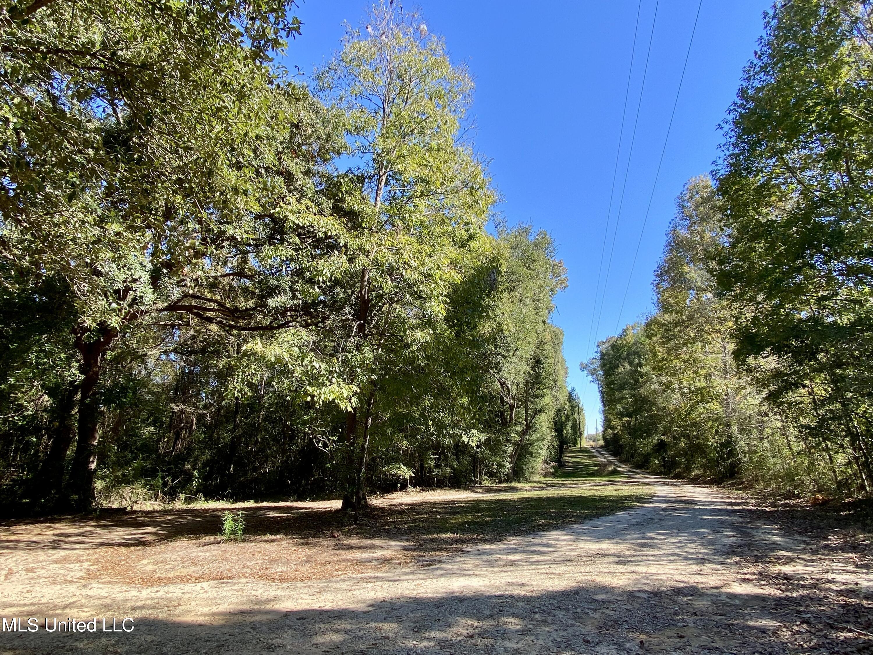 131 Monk Mitchell Road Picayune, MS 39466 - Photo 38 of 39 38, IMG_6813