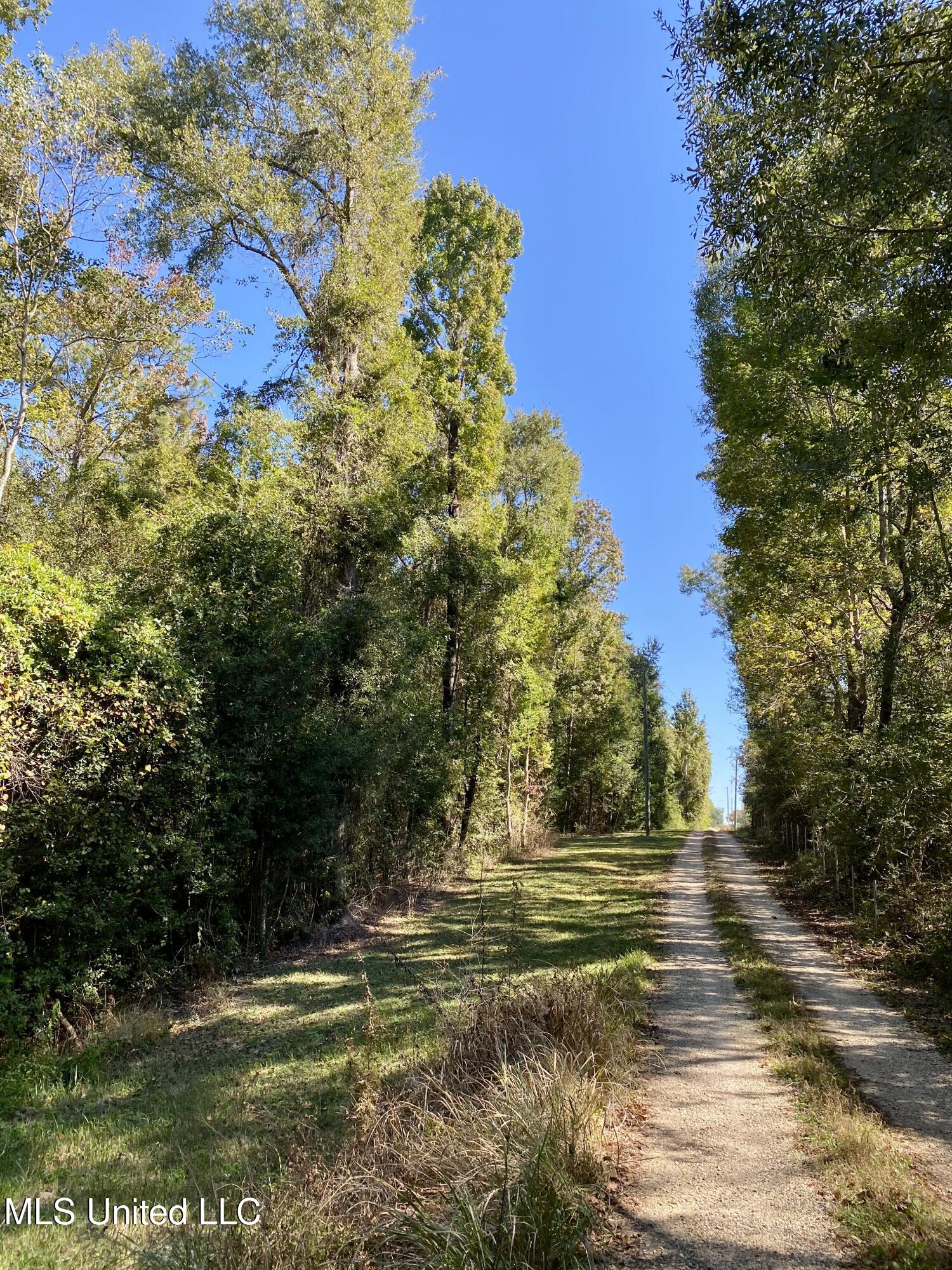 131 Monk Mitchell Road Picayune, MS 39466 - Photo 39 of 39 39, IMG_6815