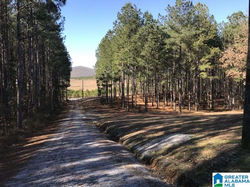 1046 Tom Cat Road Piedmont, AL 36272 - Photo 42 of 43