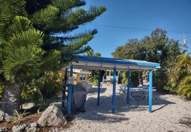 a view of outdoor space yard and patio