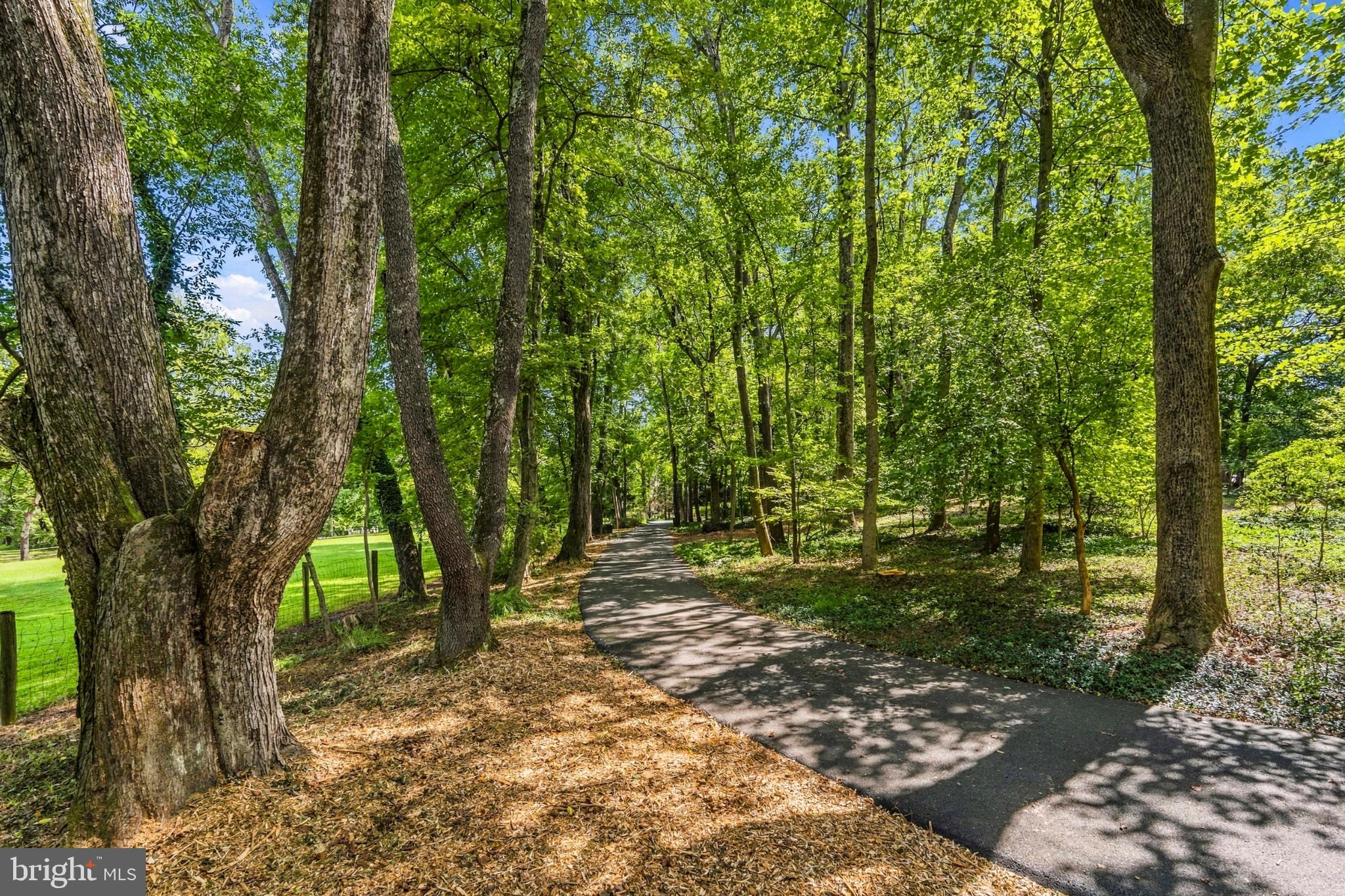 500 Walker Road Great Falls, VA 22066 - Photo 23 of 74 Gallery Image 23