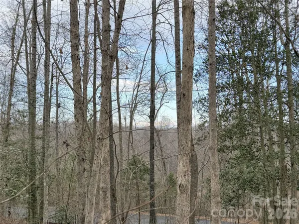a view of a yard with a trees