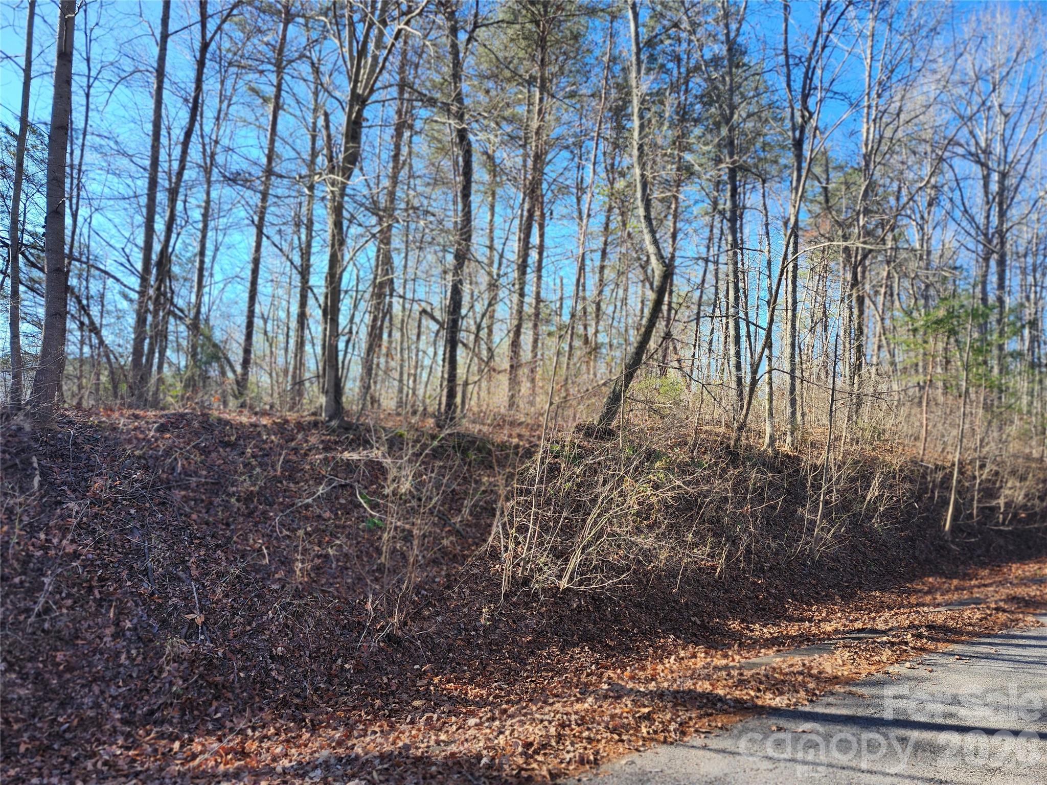 0 East Rambling Creek Drive, Unit 26 Tryon, NC 28782 - Photo 4 of 6 a view of a backyard