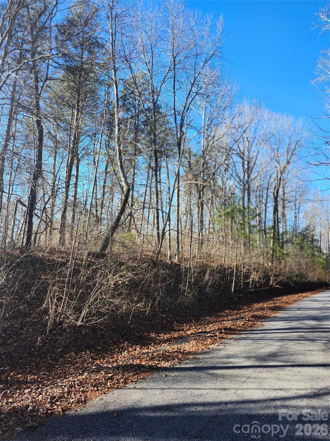 0 East Rambling Creek Drive, Unit 26 Tryon, NC 28782 - Photo 5 of 6 a view of a yard