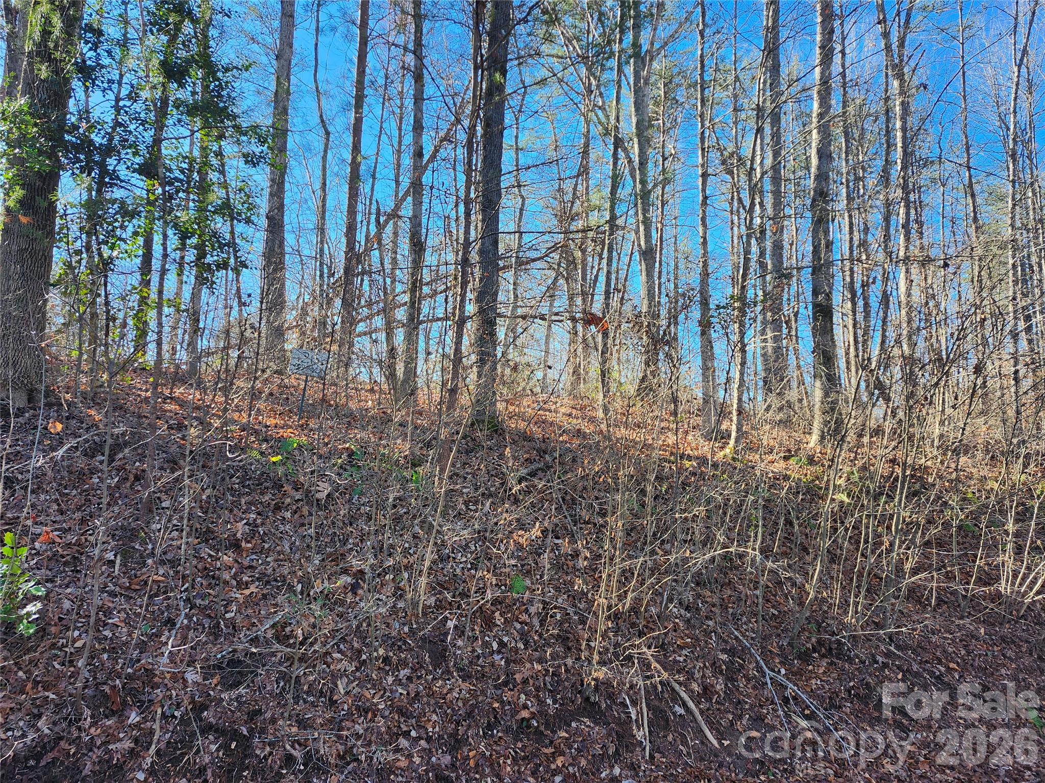 0 East Rambling Creek Drive, Unit 26 Tryon, NC 28782 - Photo 6 of 6 a view of backyard with green space