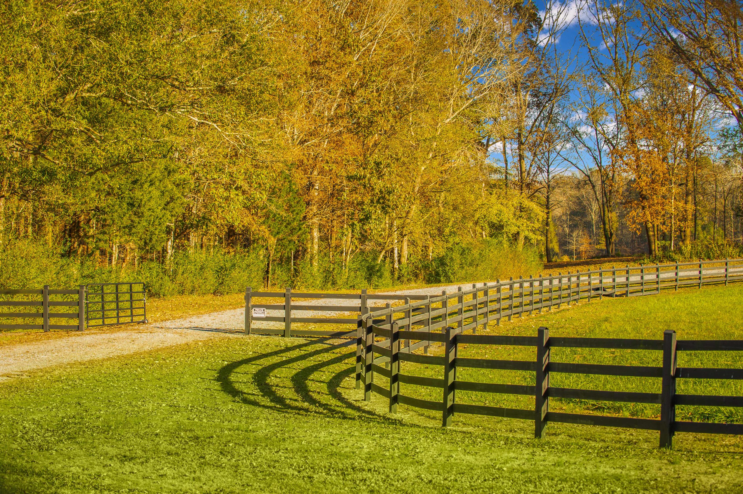 680 North Kingsbury Road Clover, SC 29710 - Photo 12 of 88 Xavier Farm Exteriors_Low Res-33