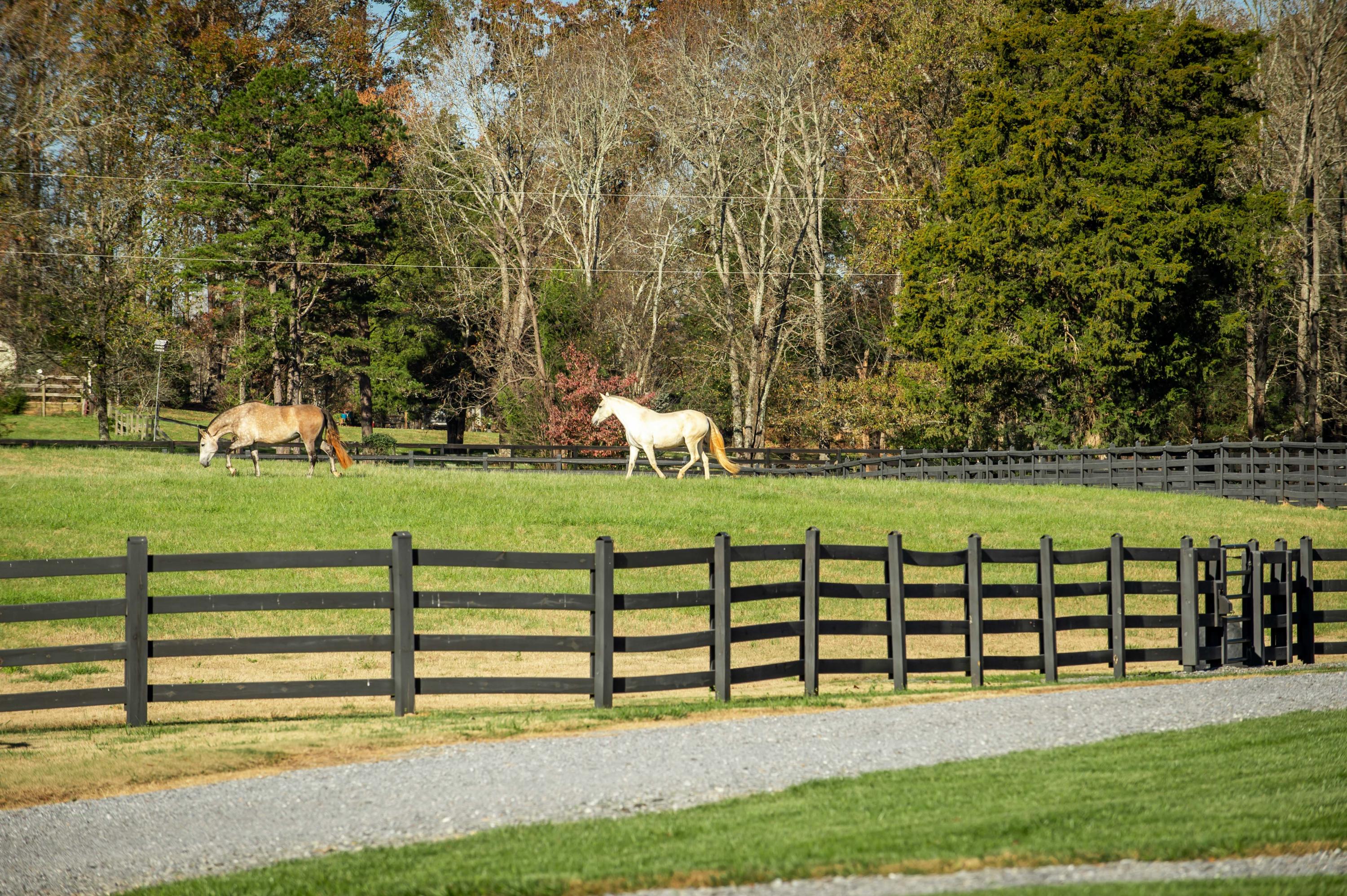 680 North Kingsbury Road Clover, SC 29710 - Photo 39 of 88 Xavier Farm Lifestyle_Low Res-13