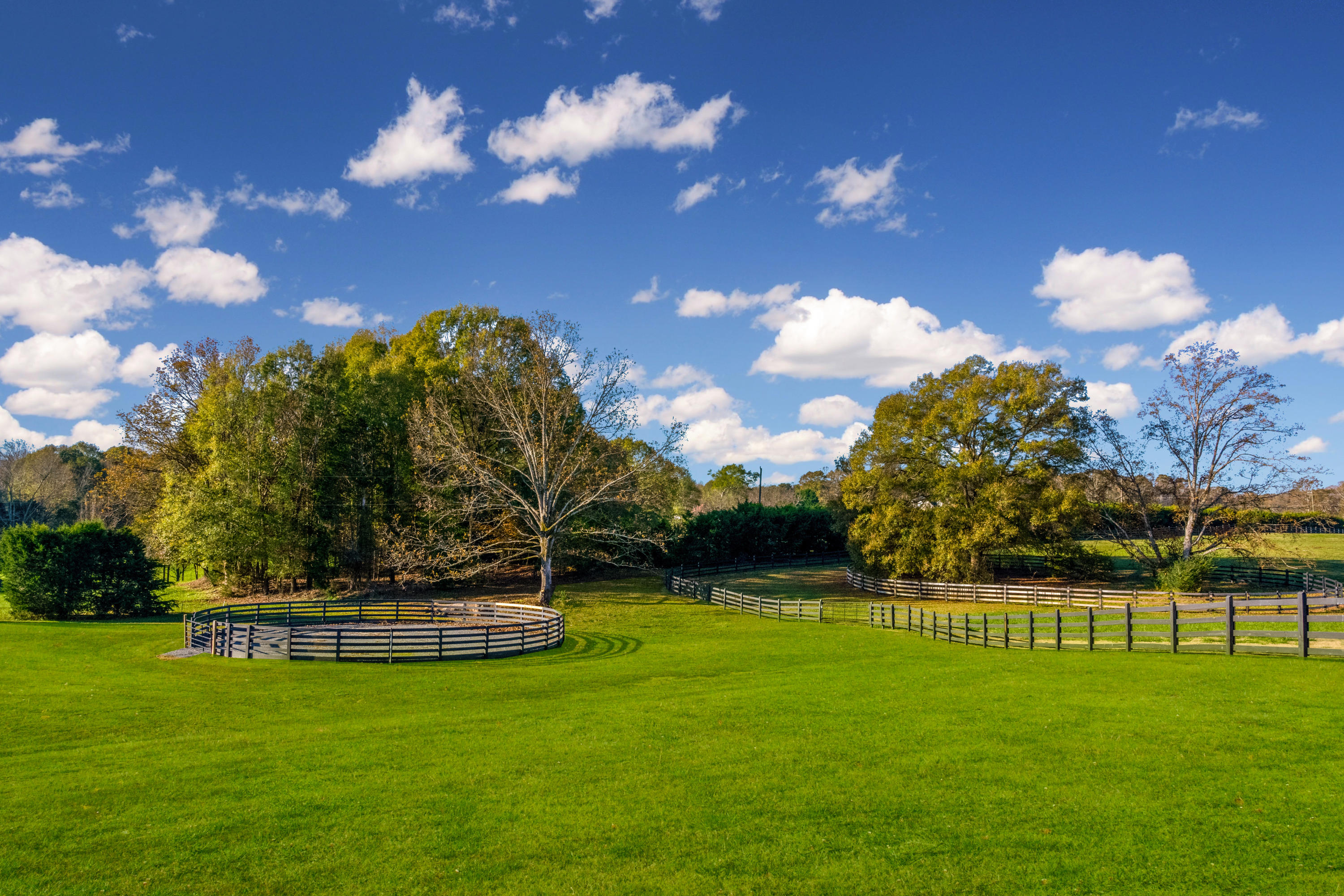 680 North Kingsbury Road Clover, SC 29710 - Photo 48 of 88 Xavier Farm Exteriors_High Res-68