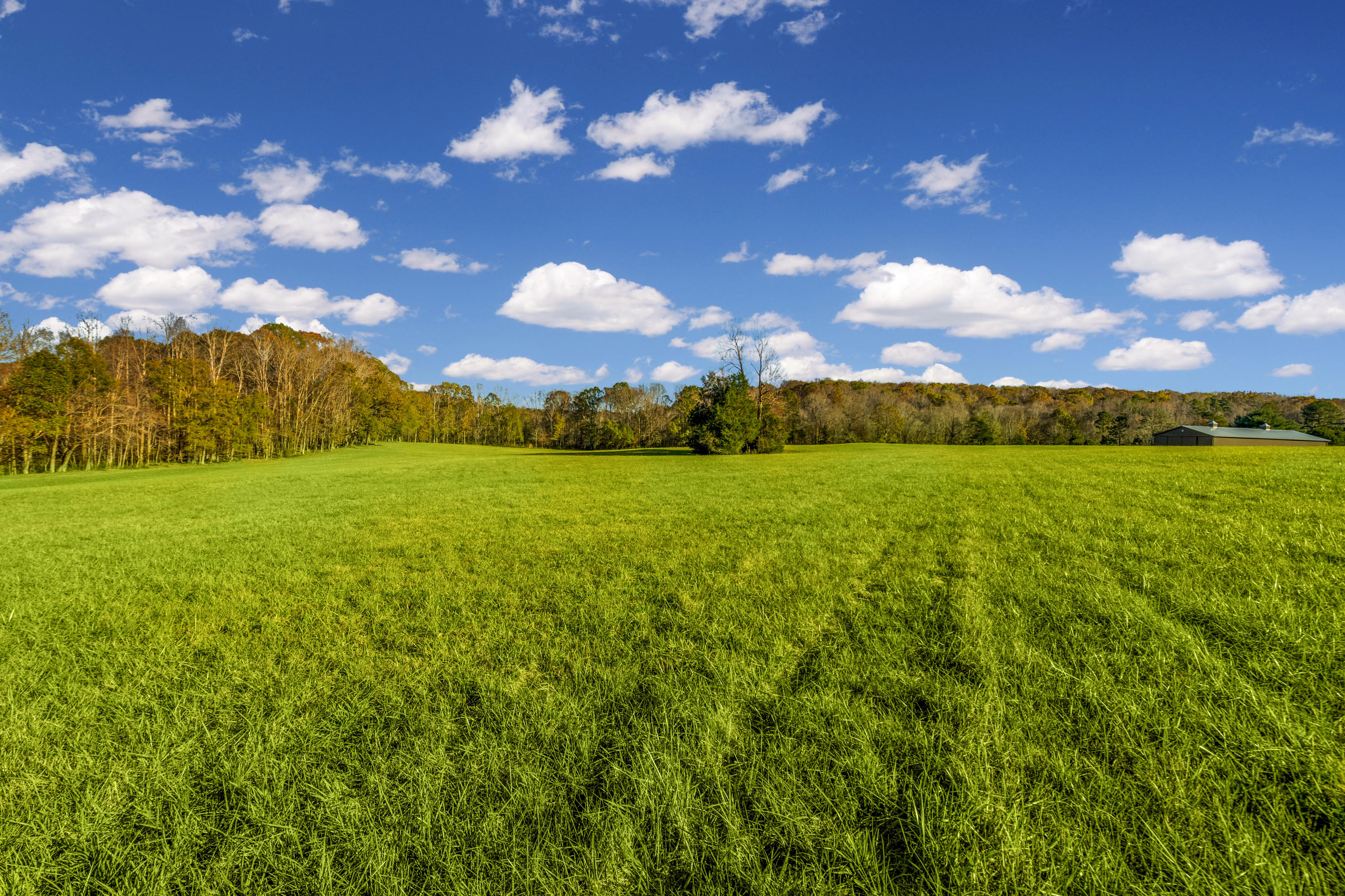 680 North Kingsbury Road Clover, SC 29710 - Photo 51 of 88 Xavier Farm Exteriors_High Res-57