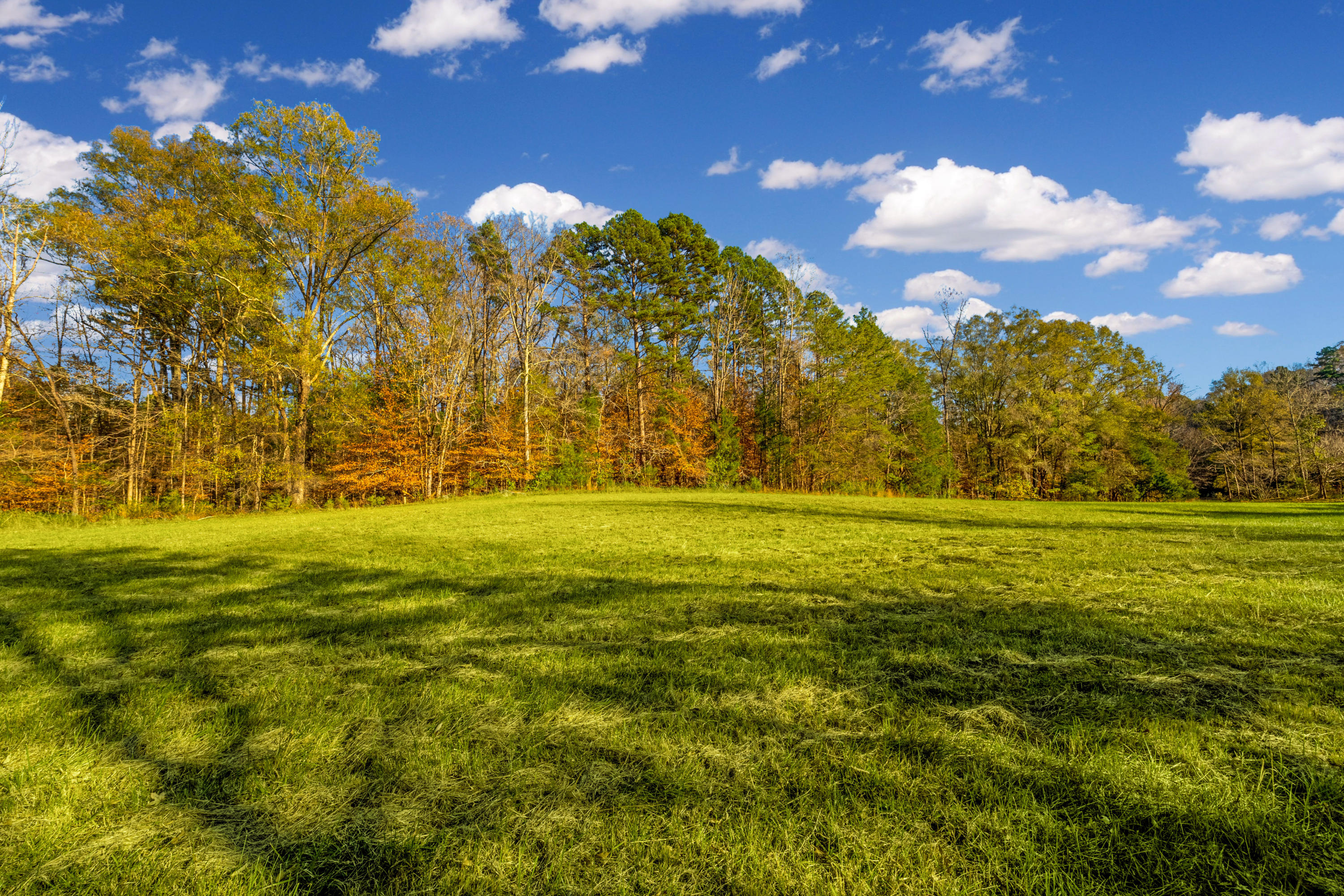 680 North Kingsbury Road Clover, SC 29710 - Photo 59 of 88 Xavier Farm Exteriors_High Res-55
