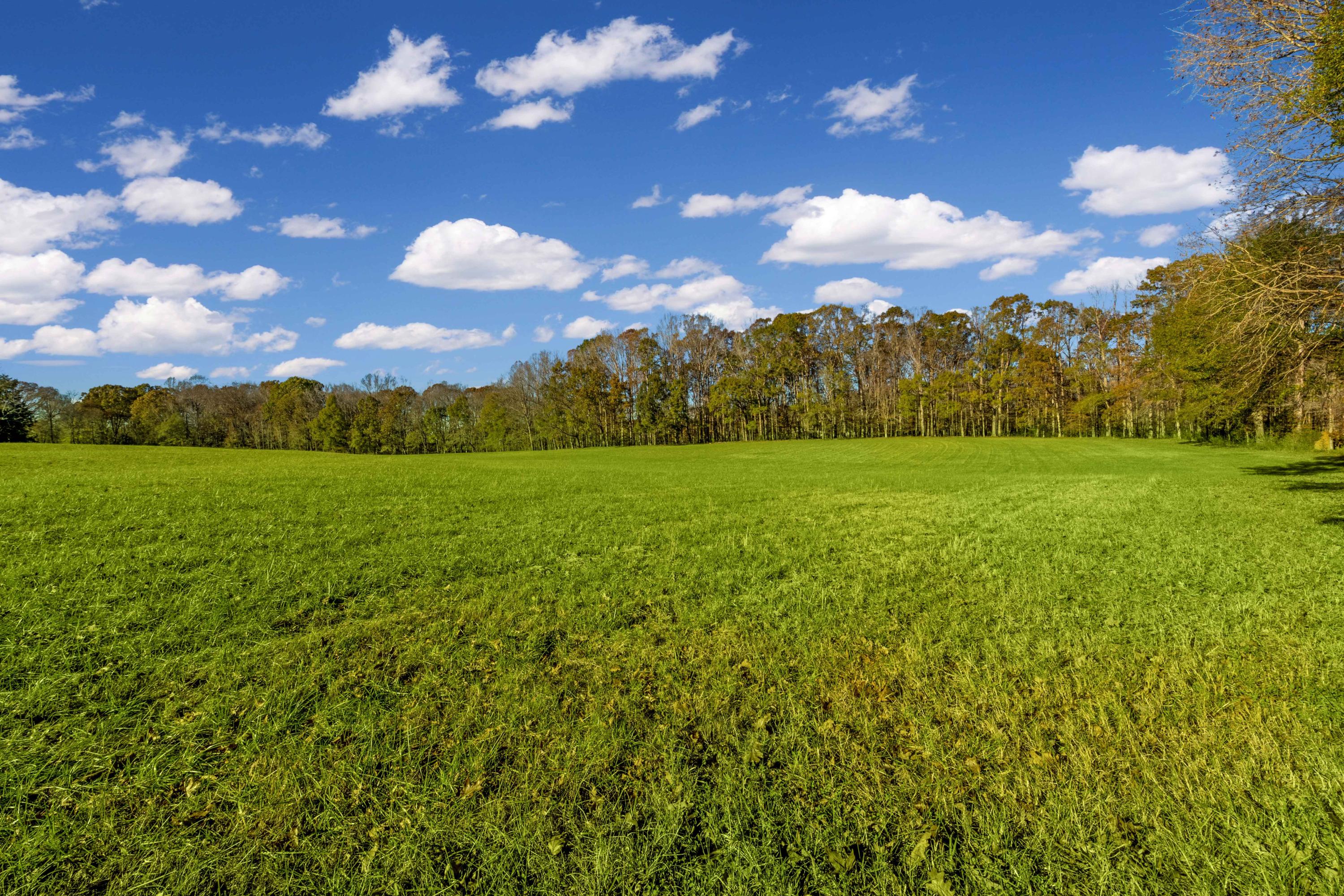 680 North Kingsbury Road Clover, SC 29710 - Photo 63 of 88 Xavier Farm Exteriors_Low Res-50
