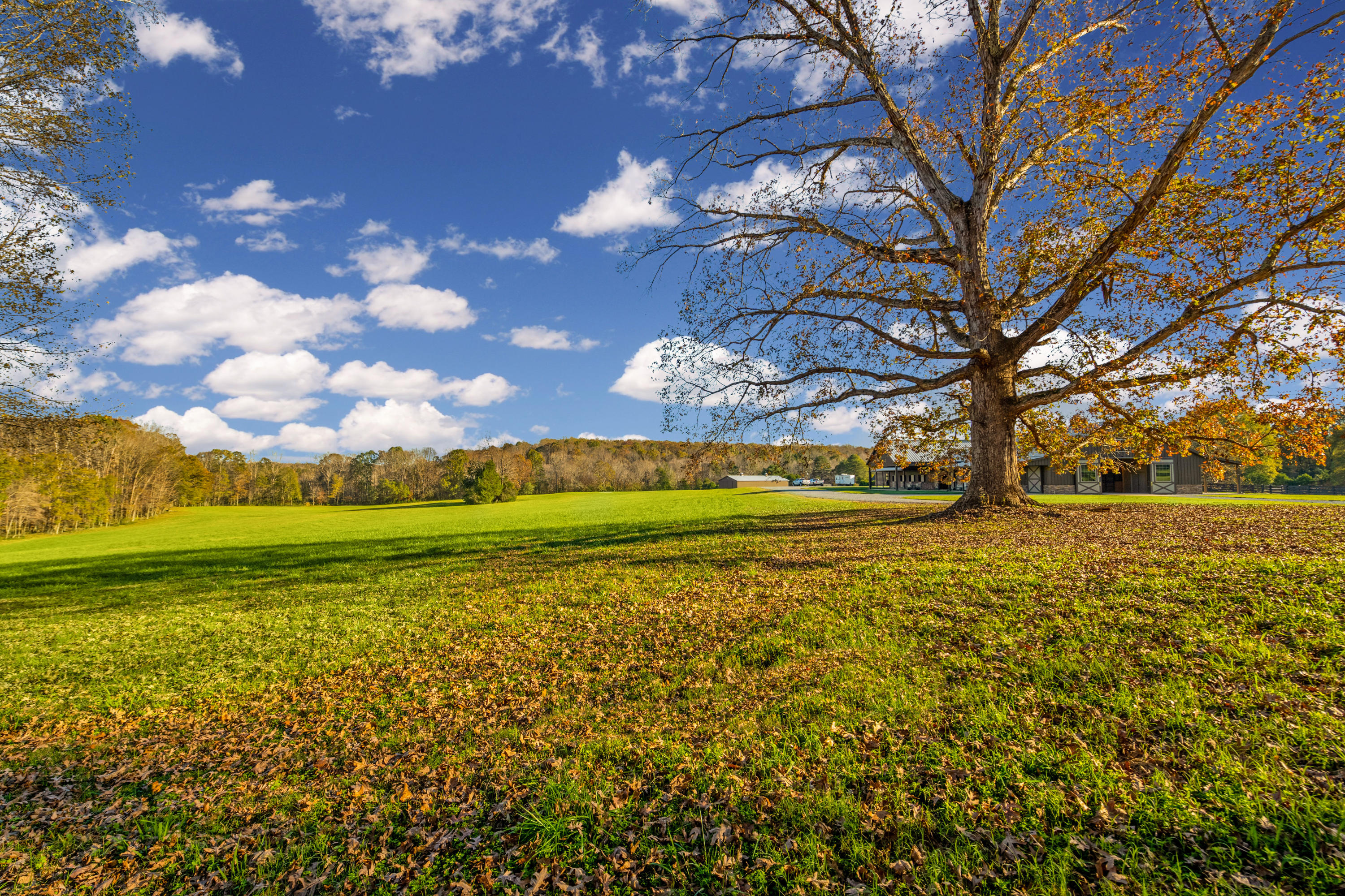 680 North Kingsbury Road Clover, SC 29710 - Photo 70 of 88 Xavier Farm Exteriors_High Res-59