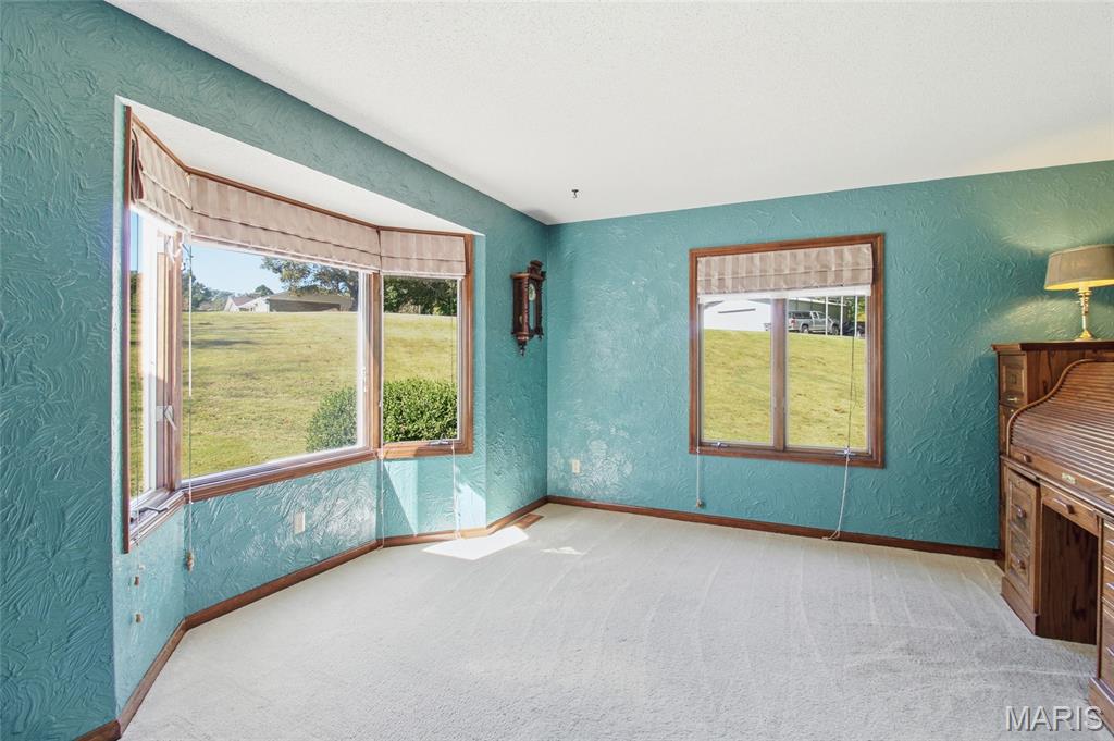 8754 Boverie Drive Ste. Genevieve, MO 63670 - Photo 14 of 63