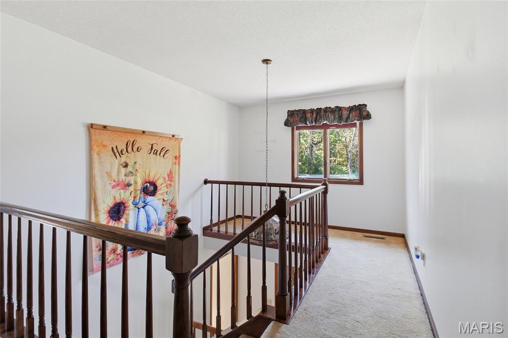 8754 Boverie Drive Ste. Genevieve, MO 63670 - Photo 36 of 63