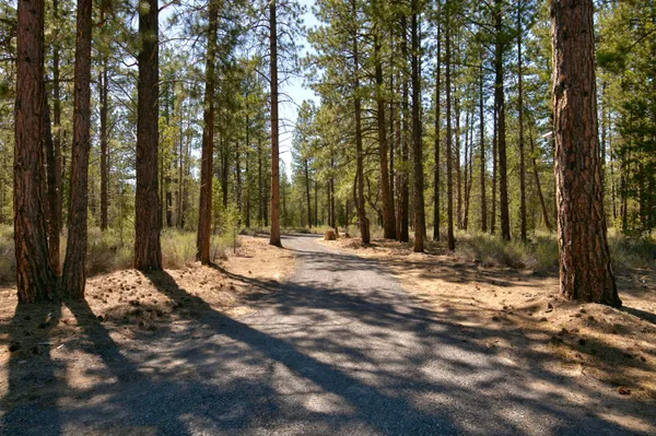$299,000 | 50750 Deer Forest Drive, La Pine, OR 97739