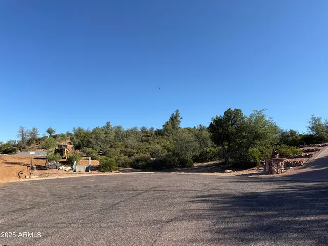 a view of a town with big trees